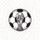 世界杯官网-2026年国际足联世界杯 - FIFA 赛事官网入口-官方中文网站